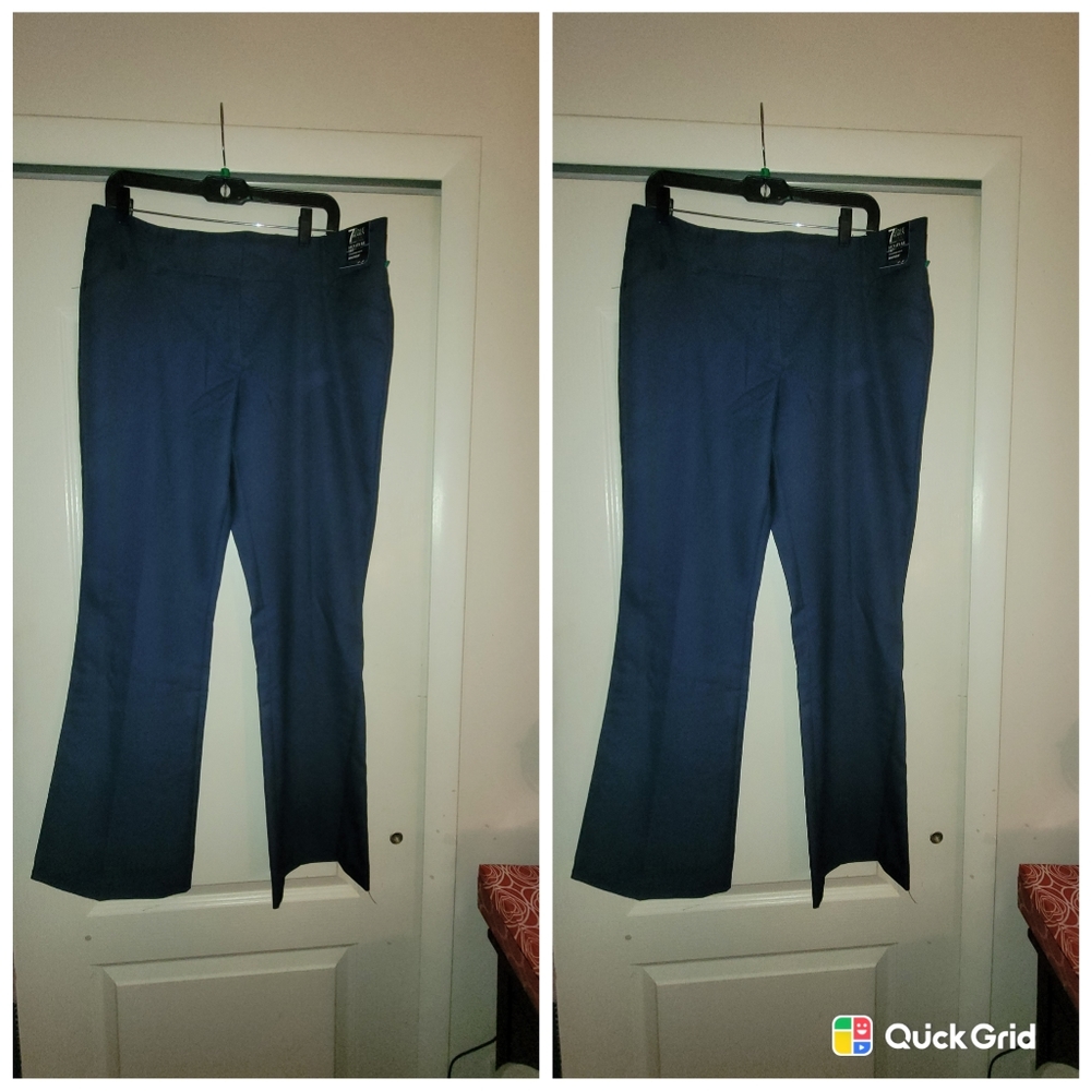 Brandnew New York and company dress pants